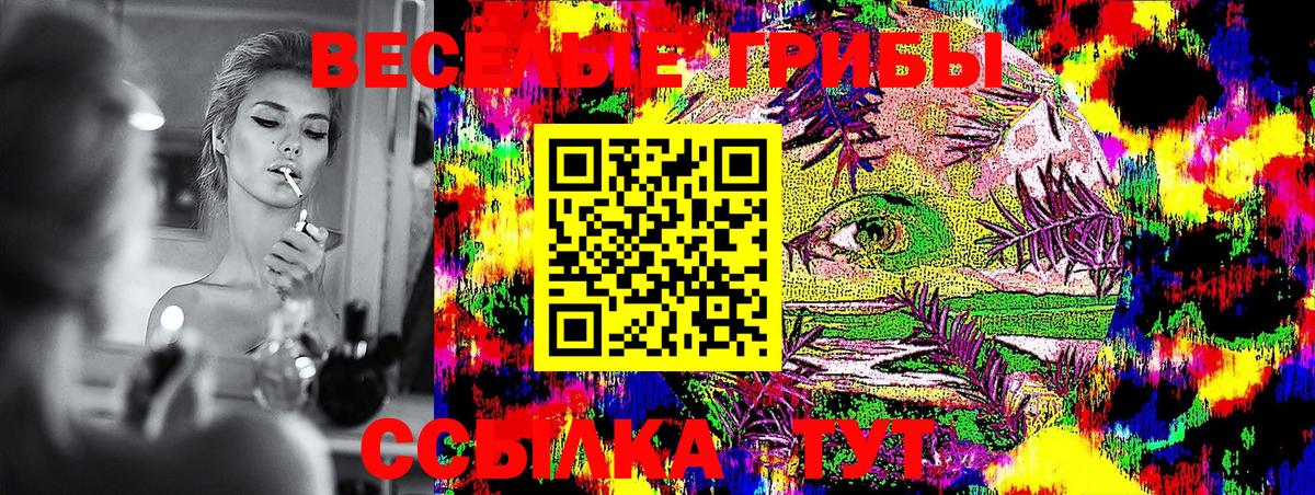 Псилоцибиновые грибы Magic Shrooms  Вход с VPN  Сибай  Псилоцибиновые грибы прущие грибы 